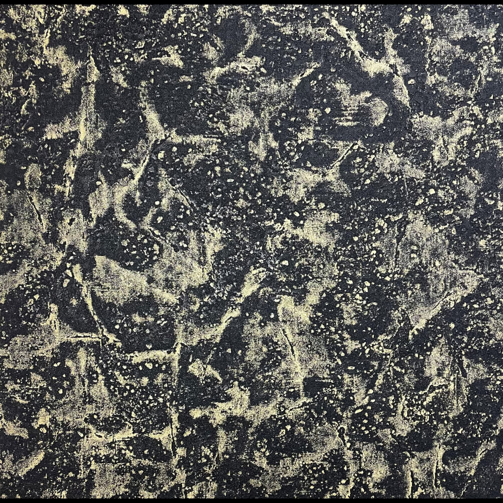Rasch Wallpaper 535907 Ariana Plaster Black and Gold