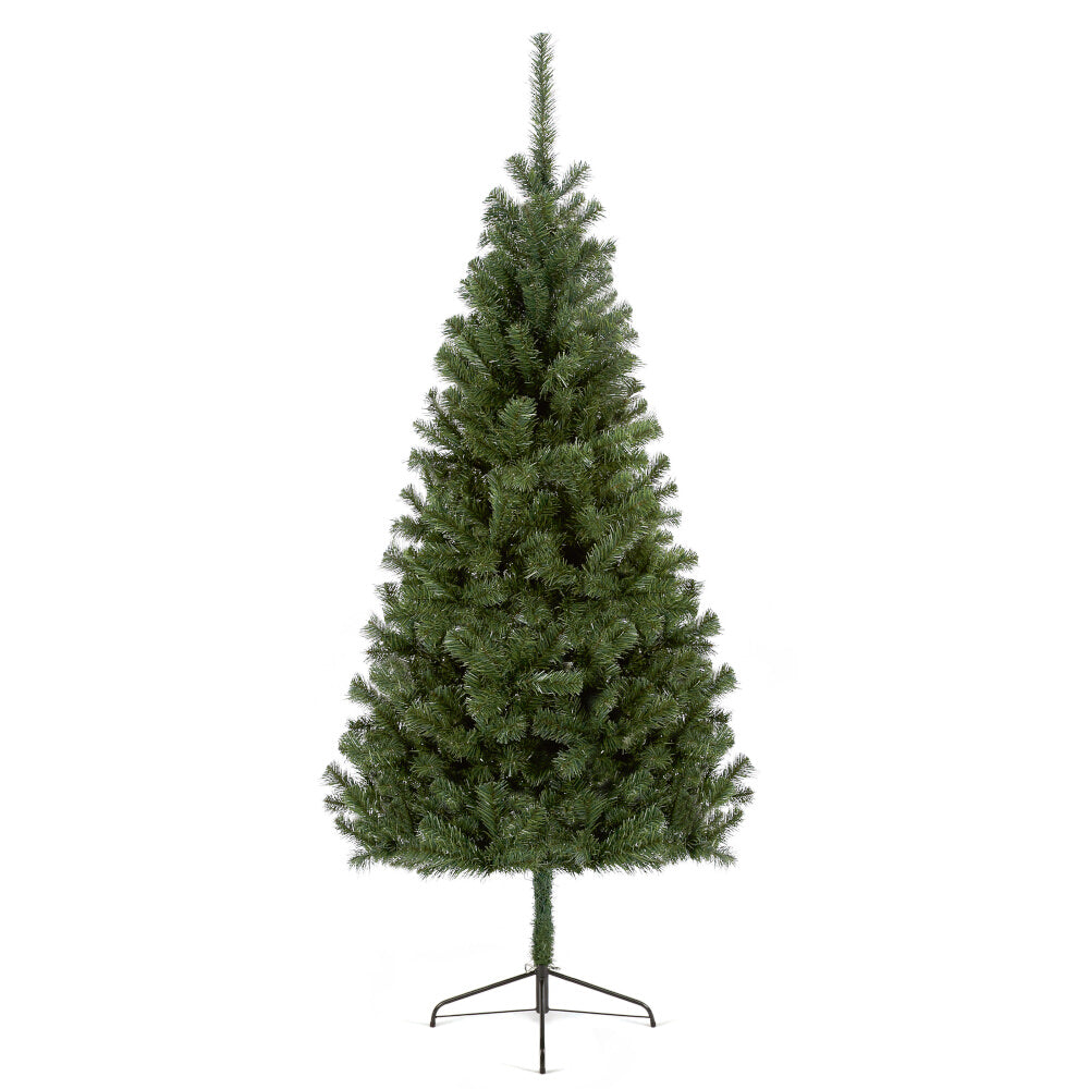 Douglas Fir Tree Wrapped