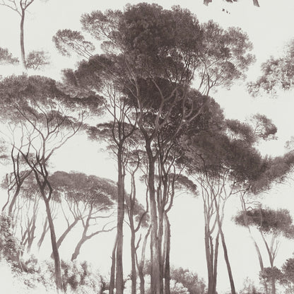 AS Creation Wallpaper 376511 Chantemur Solid Vinyl 