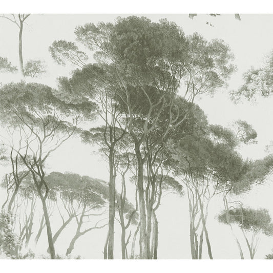 AS Creation Wallpaper 376512 Solid Vinyl Tall Tree's