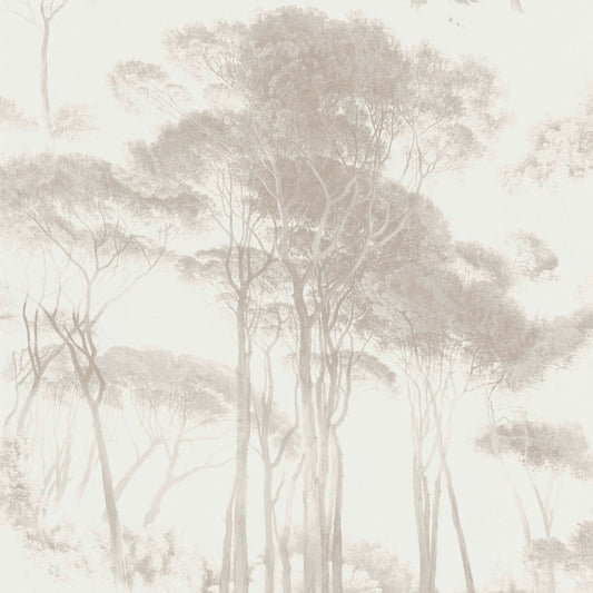 AS Creation Wallpaper 376514 Forest Woodlands Trees 