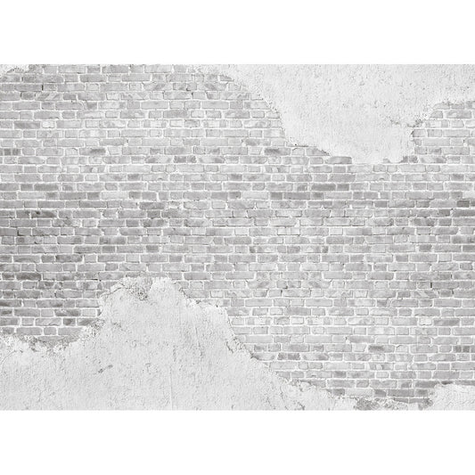 AS Creation Mural 118760 Gray Light Marble 