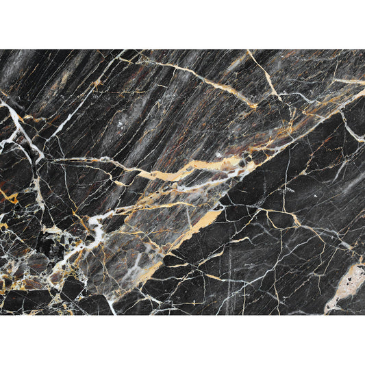 AS Creation Mural 118762 Black Gold Marble 