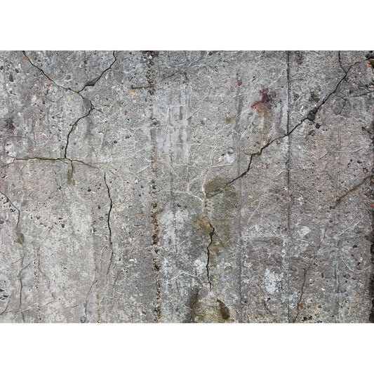 AS Creation Mural 118786 Concrete Wall 