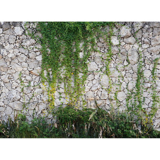 AS Creation Mural 118788 Concrete Coated 