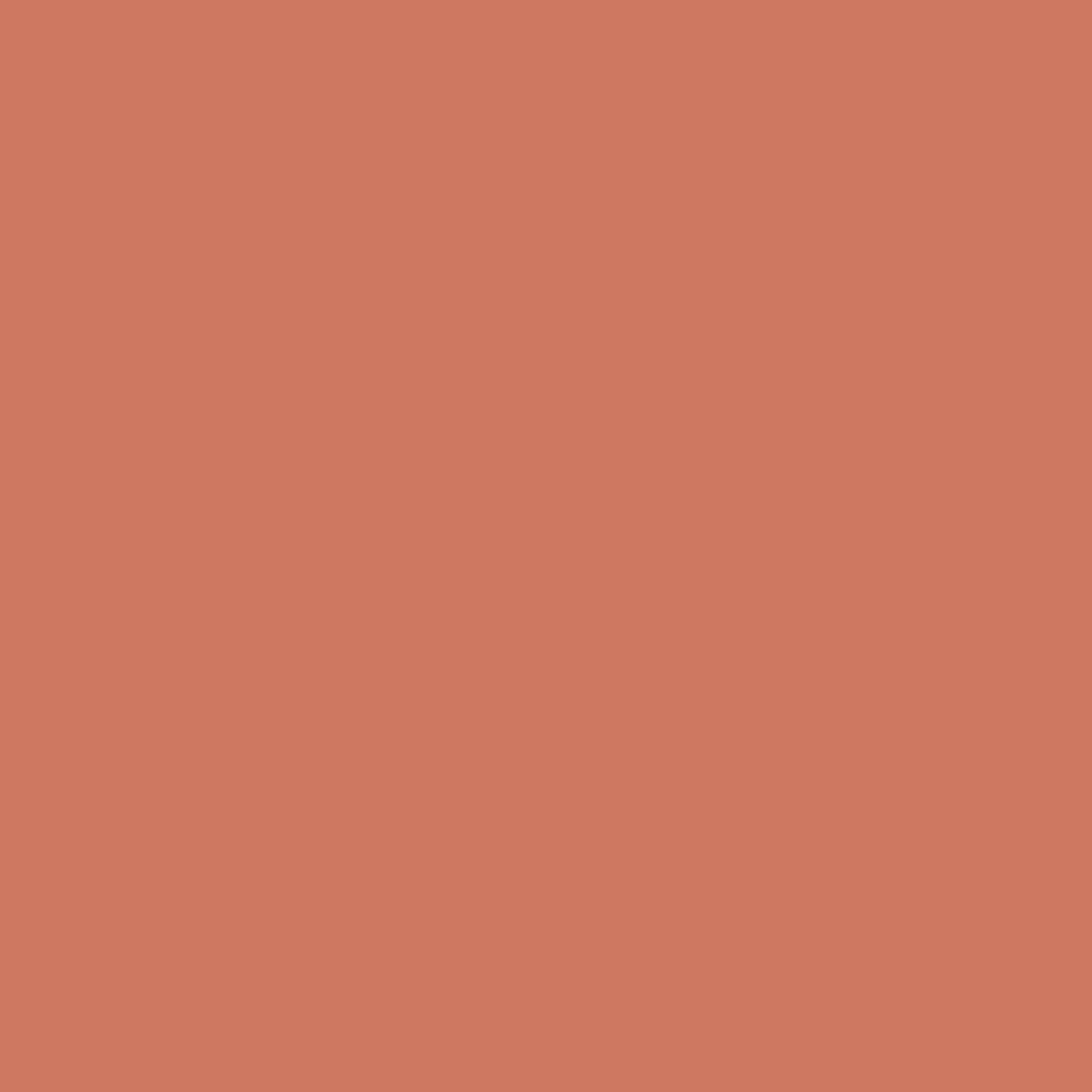 Johnstones Feature Wall Interior Emulsion Maple Haze C