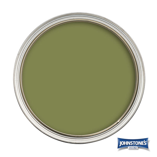 Johnstones Feature Wall Interior Emulsion Amphibious A