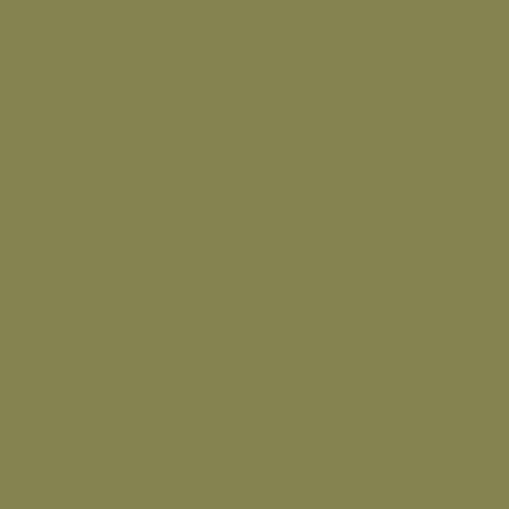 Johnstones Feature Wall Interior Emulsion Amphibious C