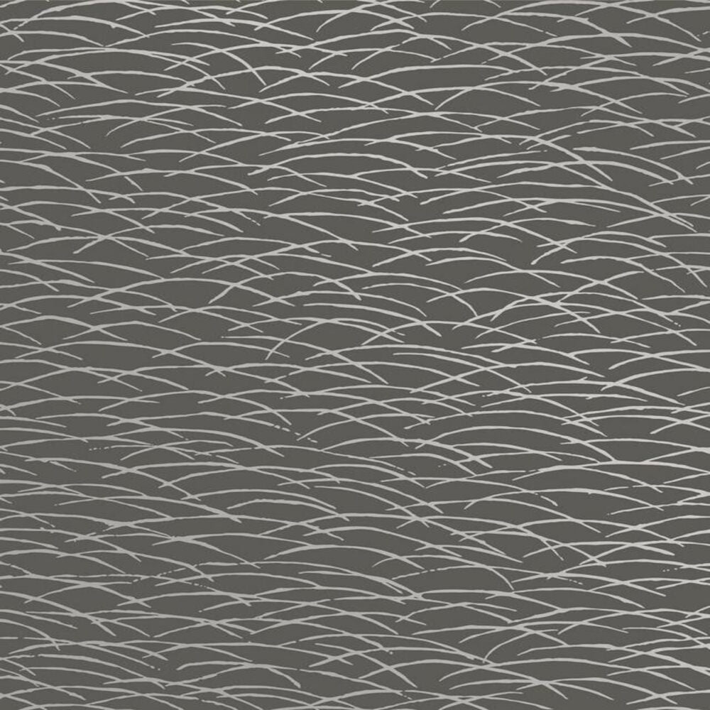 This image shows product Fine Decor Wallpaper TC25245 Conran Psu Wave Black