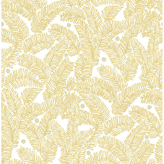 Fine Decor Wallpaper FD26032 Wallpaper Pacifica Athina Yellow