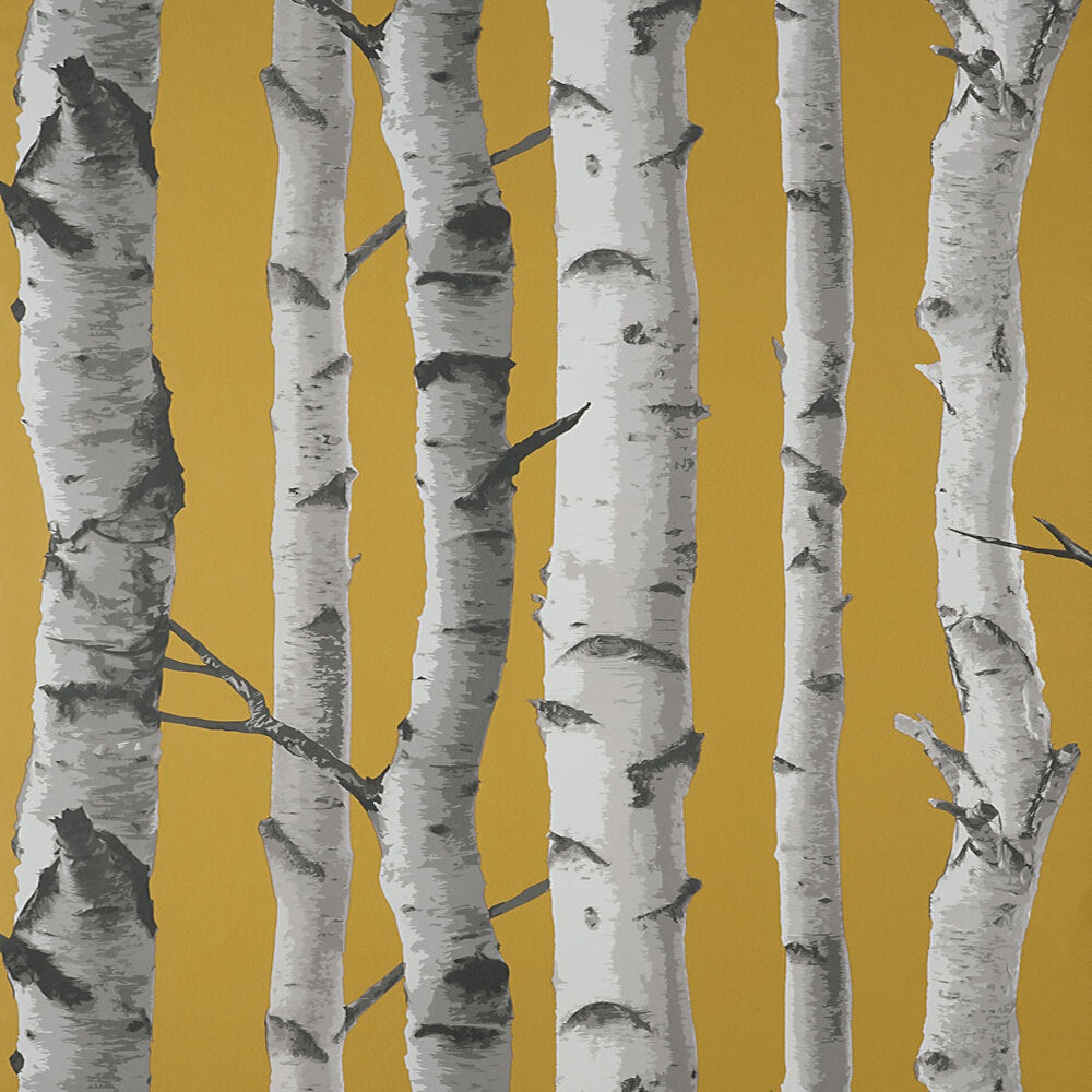 This image shows product Fine Decor Wallpaper FD43290 UK Birch Trees Mustard