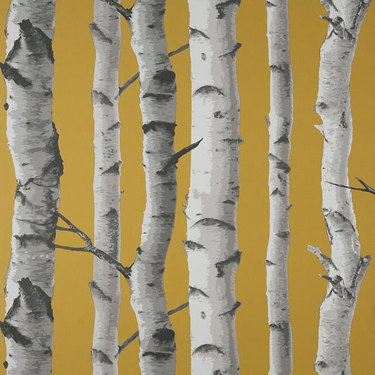 This image shows product Fine Decor Wallpaper FD43290 UK Birch Trees Mustard