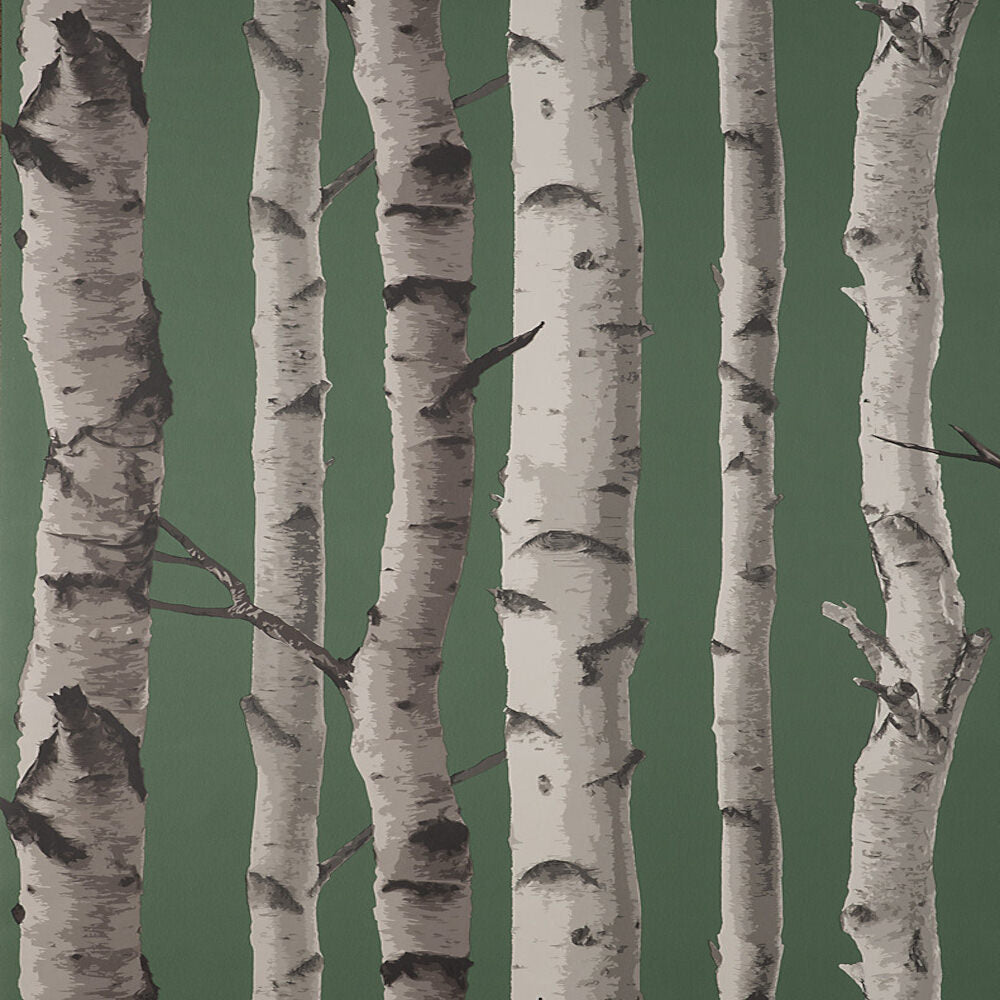 This image shows product Fine Decor Wallpaper FD43292 UK Birch Trees Hunter Green