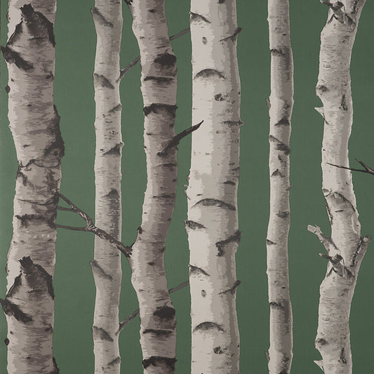 This image shows product Fine Decor Wallpaper FD43292 UK Birch Trees Hunter Green
