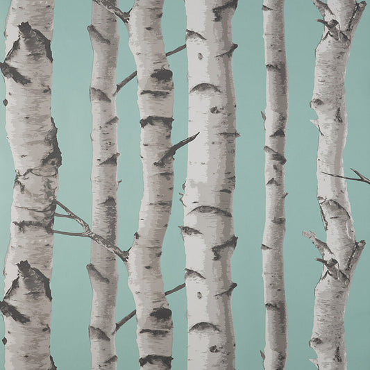 This image shows product Fine Decor Wallpaper FD43293 UK Birch Trees Blue