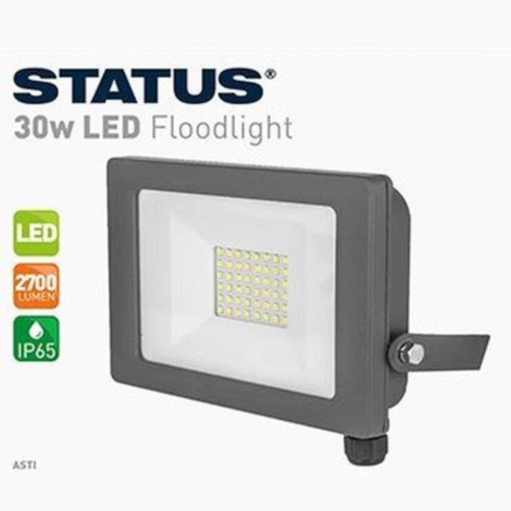 This image shows product 30W Led Grey Floodlight
